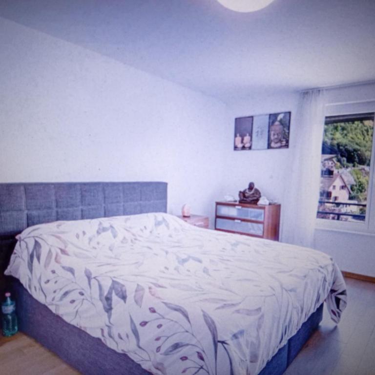 Alpenblick Interlaken - Two-Bedroom Apartment - 13