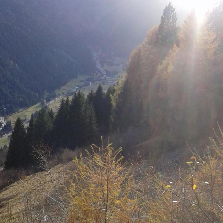 Appartamenti Presanella - Apartment with Mountain View - 24