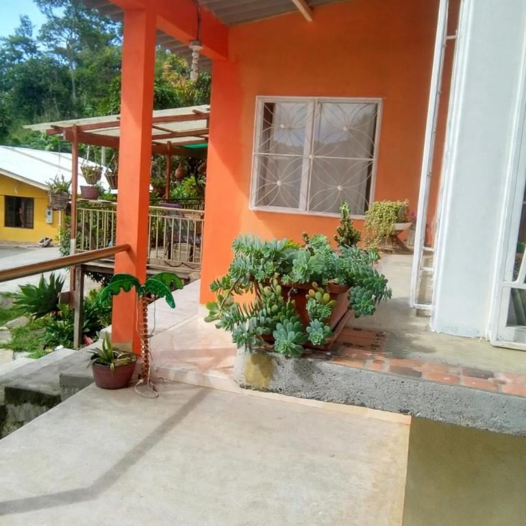 El Girasol alojamiento rural - Casa - 36