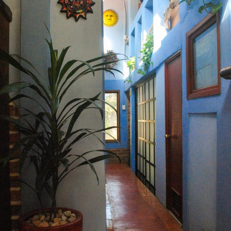 Casa 4 Estaciones - Apartment mit 3 Schlafzimmern - 3