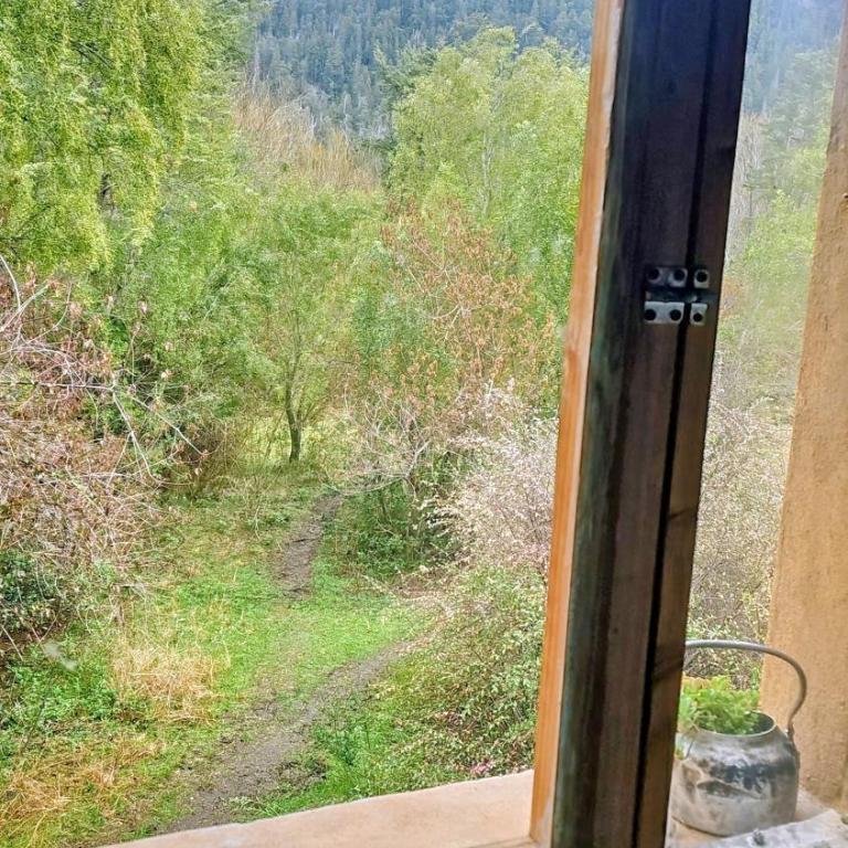 Rey Sol Reina Luna - Single Bed in 4-Bed Dormitory Room - 25