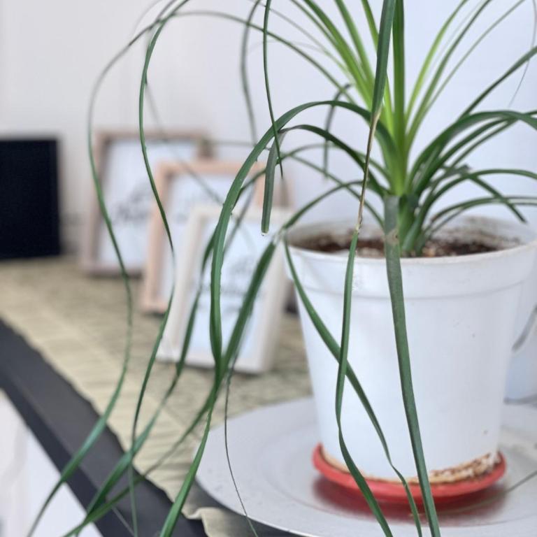 GOLD, Apartamento nuevo de 2 ambientes en Equipetrol cerca del Zoológico - One-Bedroom Apartment - 35