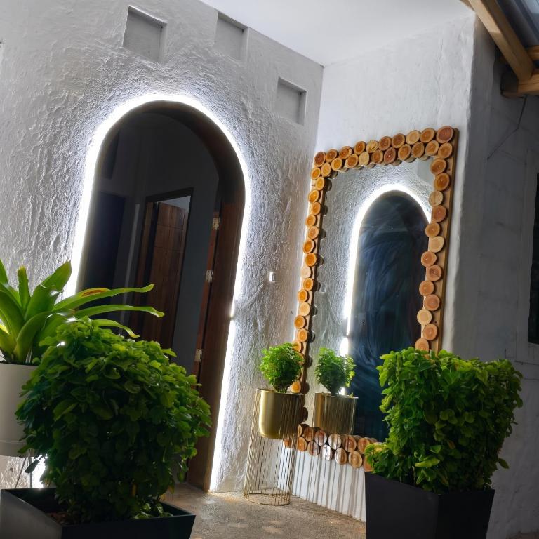 Hotel Palmas Del Mar - Habitación Individual - 6