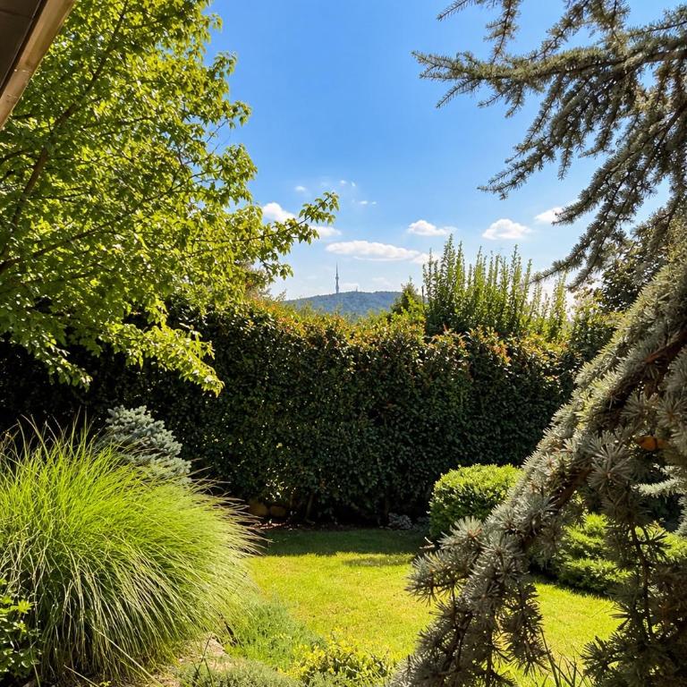 Belgrade Villa - Private Estate & Pool - Exclusive Use - Full Privacy - Garden & BBQ - One Group Only - Vila sa Sopstvenim Bazenom - 53