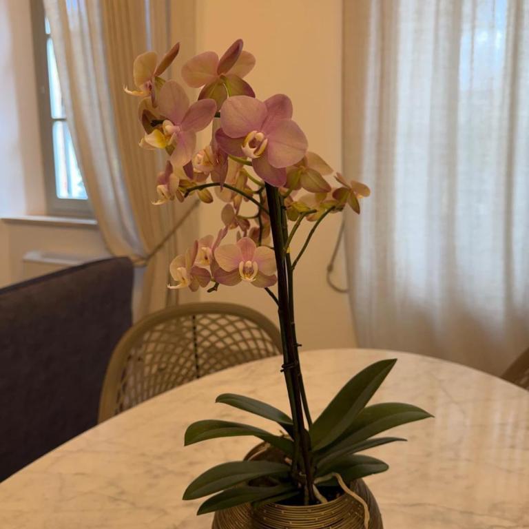 Lupart - Apartment mit 2 Schlafzimmern und Aussicht - 7