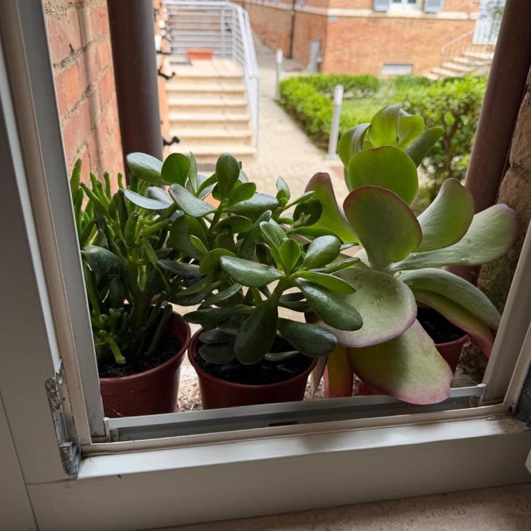 Lupart - Apartment mit 2 Schlafzimmern und Aussicht - 39