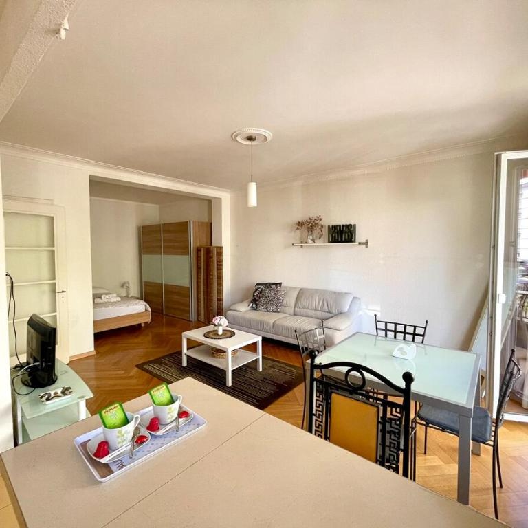 Apartment with balcony-6 minutes from the railway - Appartement 1 Chambre - 7