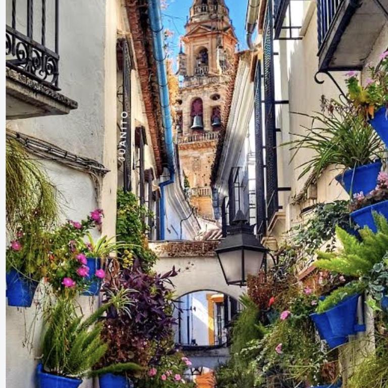 Casa de las Flores - One-Bedroom Apartment - 22