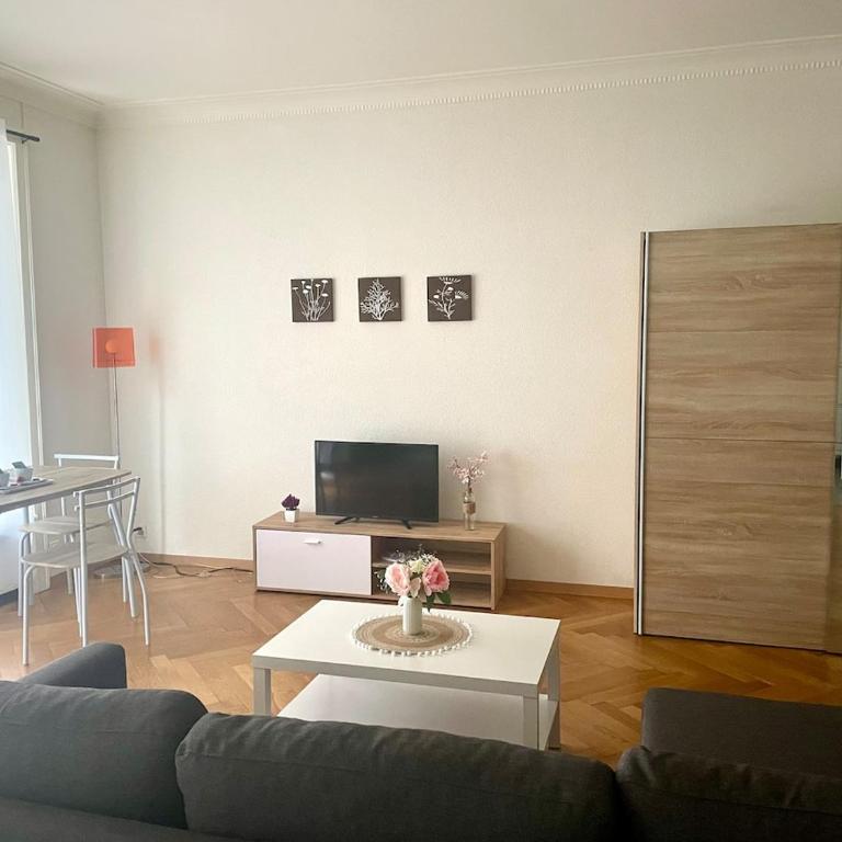 Fully Furnished down town - Appartement 1 Chambre - 1