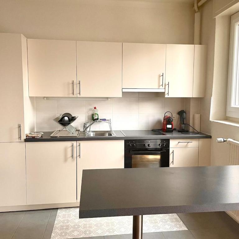 Fully Furnished down town - Appartement 1 Chambre - 4