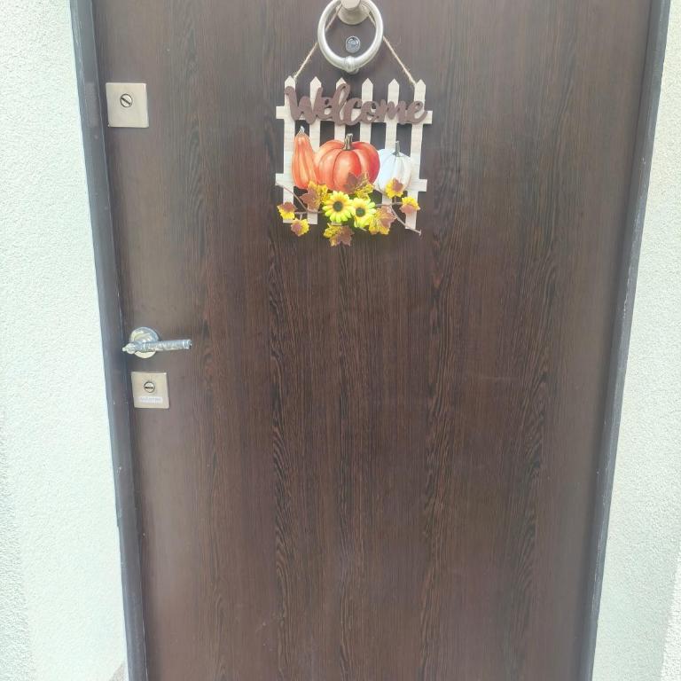 Apartment Sanja - Apartman sa 1 Spavaćom Sobom - 10