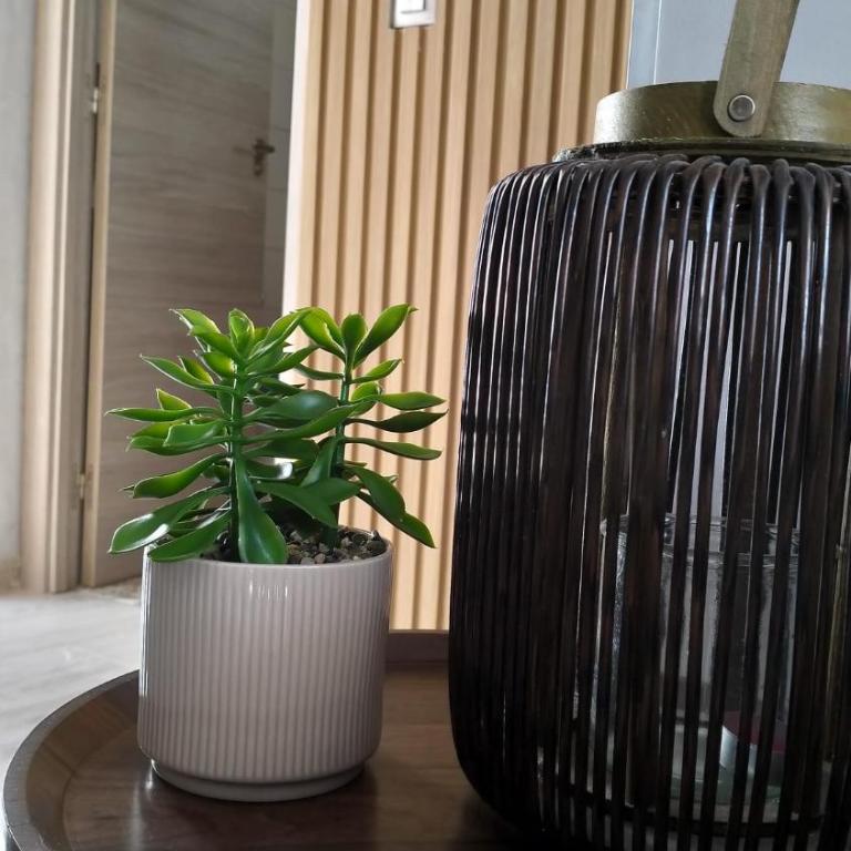 Apartment La Playa 450m near the beach - Appartement 1 Chambre - 41