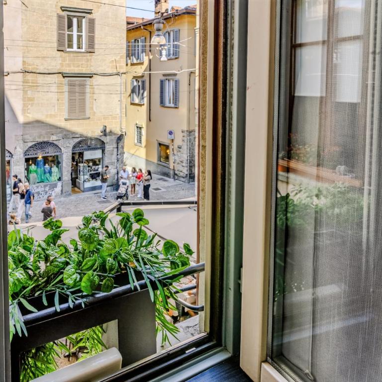 Colleoni Suite, Città Alta - One-Bedroom Apartment - 4