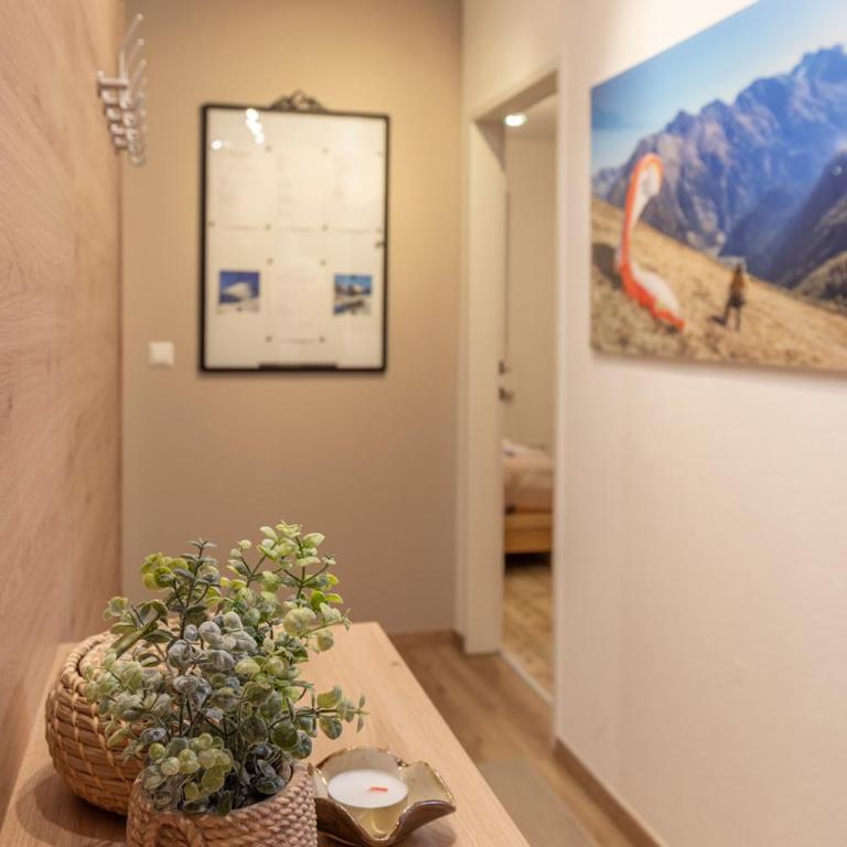 Apart Hoher Kogel - Apartment mit 2 Schlafzimmern - 1