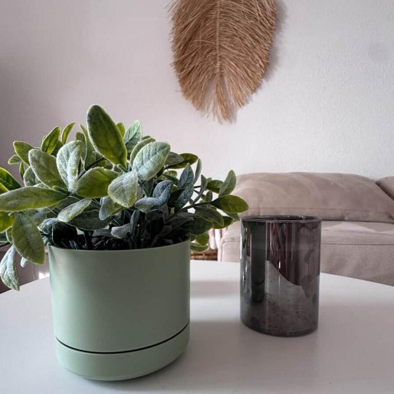 Casa Manifestado - Apartment - 21