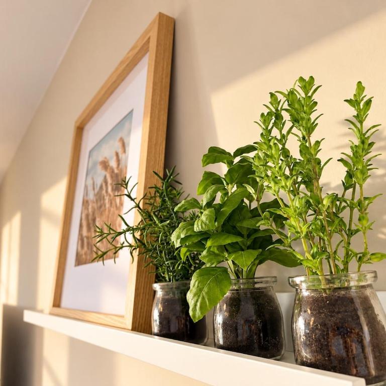 ABACA - Escapade lumineuse avec aperçu mer et parking privé - Apartment mit 2 Schlafzimmern, einem Balkon und Meerblick - 23
