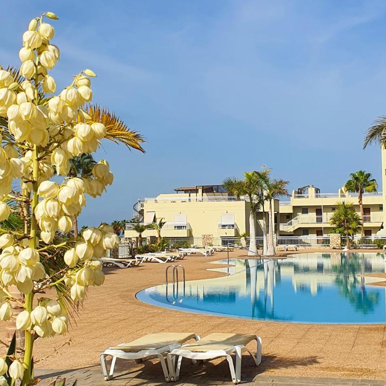 Terraza Sol & Mar, Palm Mar, Ocean & Pool view - Apartamento de 1 dormitorio - 51