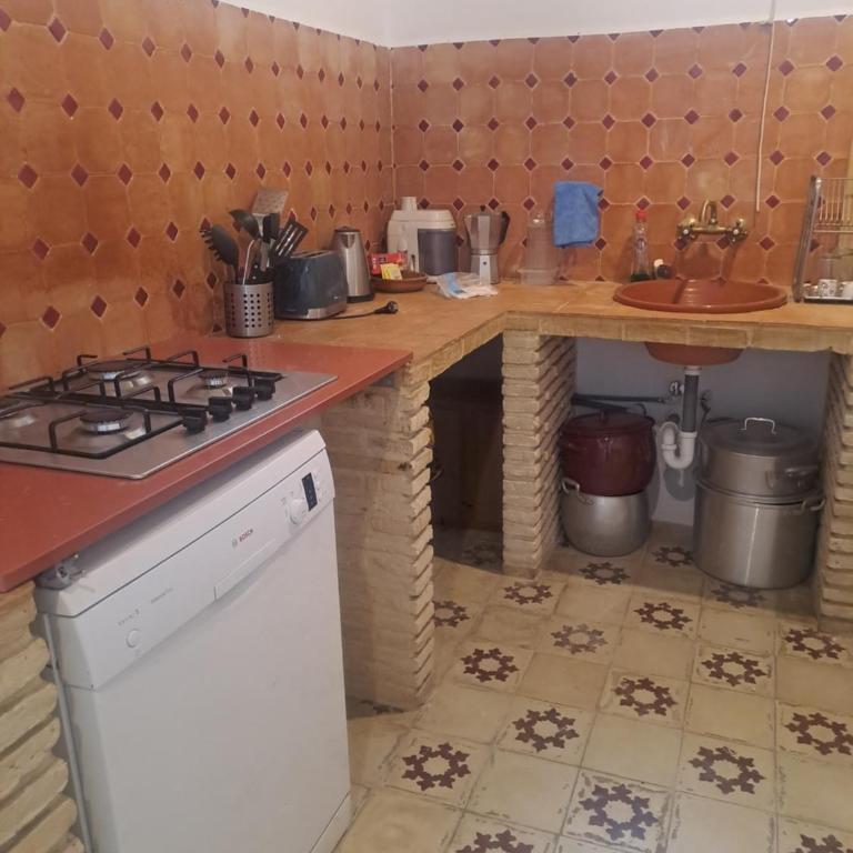 Alojamiento Manzanilla - Apartamento de 1 dormitorio - 19