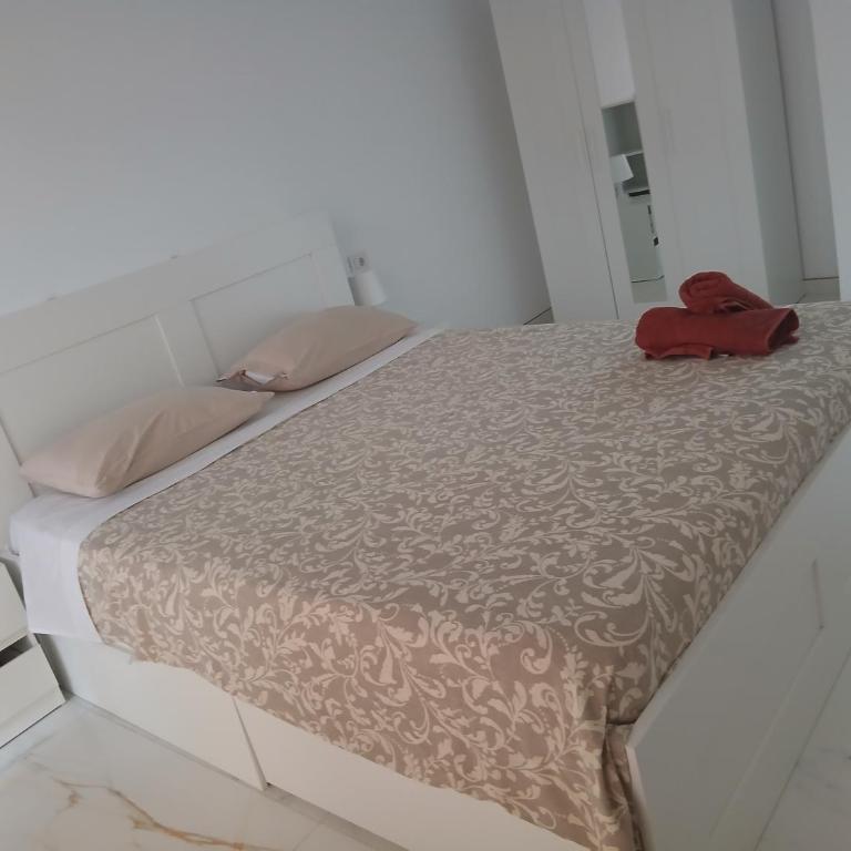 Marina palace 530 - Apartamento de 1 dormitorio - 6