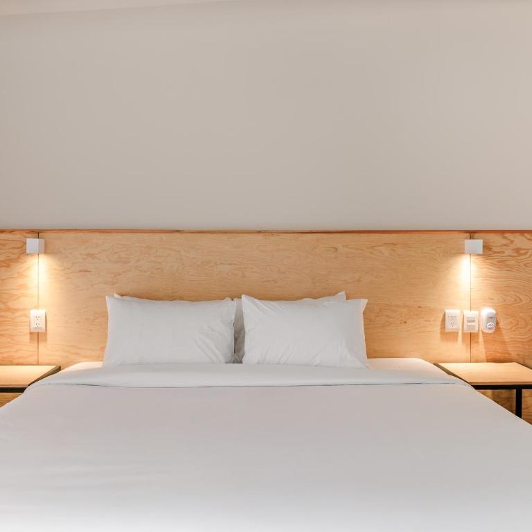 Allende By Homirent - Suite con cama extragrande - 13