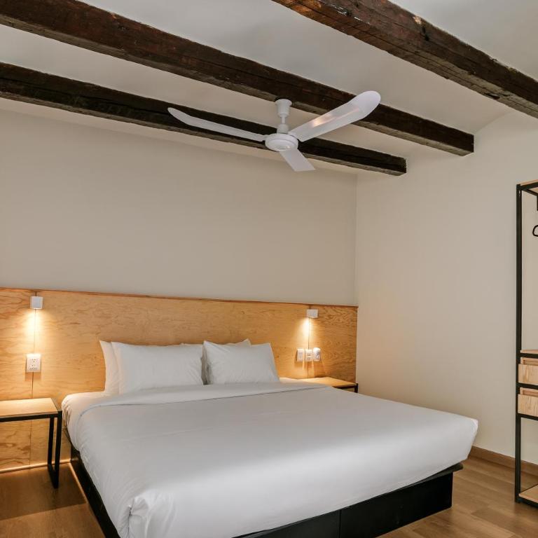 Allende By Homirent - Suite con cama extragrande - 4
