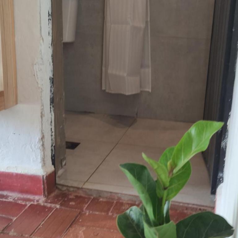 " Casa quinta "San Bernardo" Con Pileta y amplio jardín - Casa - 74