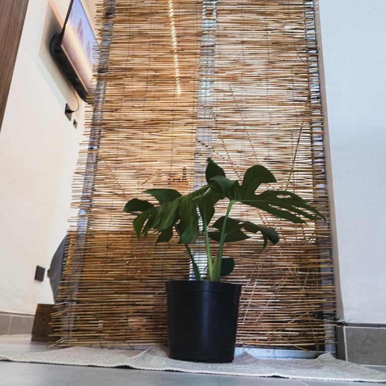 Boho Loft in Poblado San Diego, Medellín - Apartamento de 2 dormitorios - 17