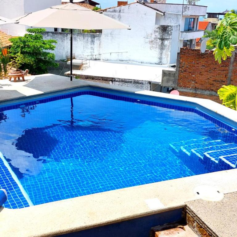 Jonathan's Lugar Cozy Studio, Artisan Tiles, Heated Pool, Walk to Malecón - Apartment - 3