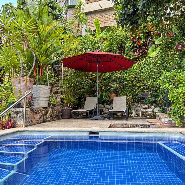 Jonathan's Lugar Cozy Studio, Artisan Tiles, Heated Pool, Walk to Malecón - Apartment - 20