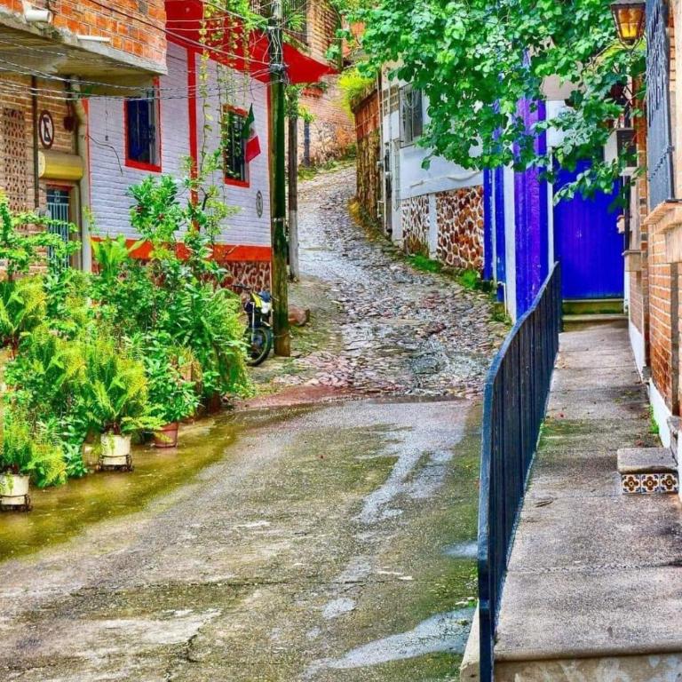 Jonathan's Lugar Cozy Studio, Artisan Tiles, Heated Pool, Walk to Malecón - Apartment - 29
