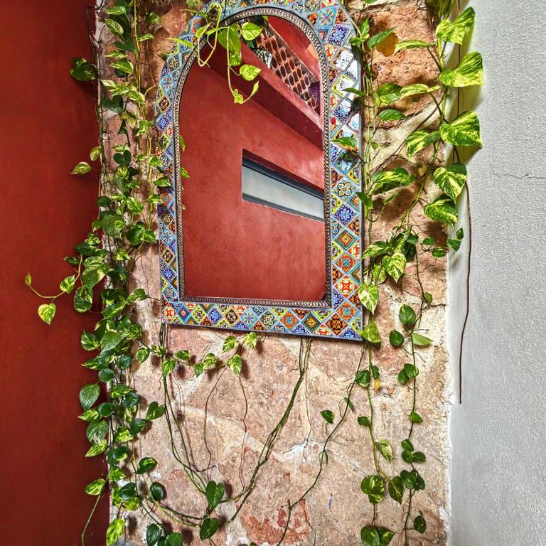 Jonathan's Lugar Cozy Studio, Artisan Tiles, Heated Pool, Walk to Malecón - Apartment - 33