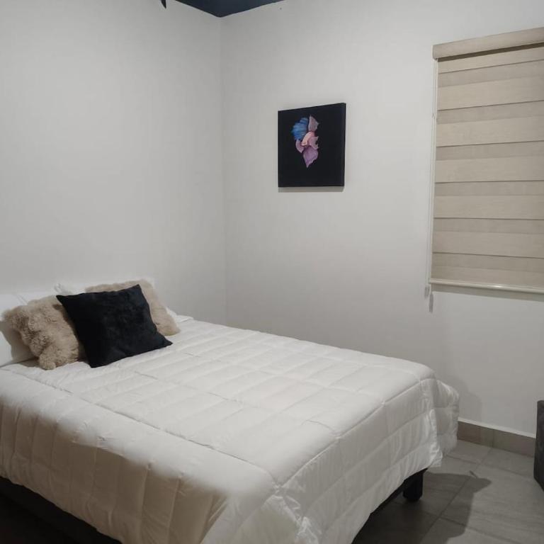 Depa moderno en Centro MTY Alberca Gym Metro - Apartamento - 37