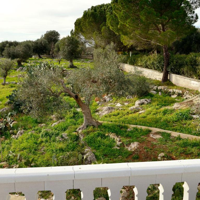 Villetta Panoramica - Villa Superior - 9
