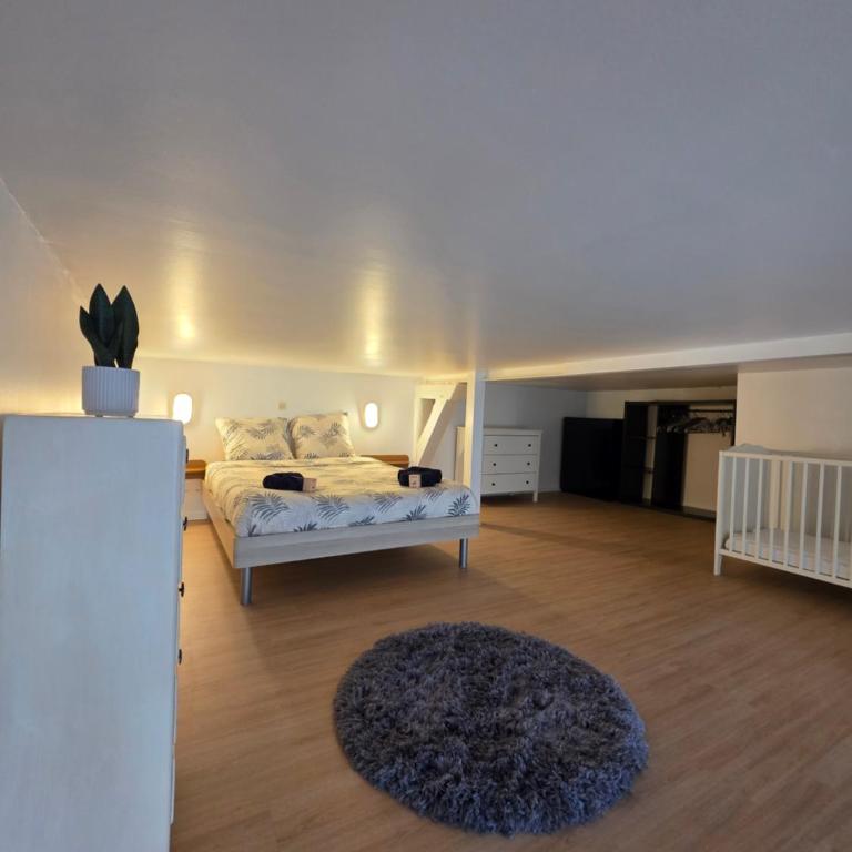 La Mezzanine Remoise - Centre de Reims - Appartamento con 1 Camera da Letto - 11