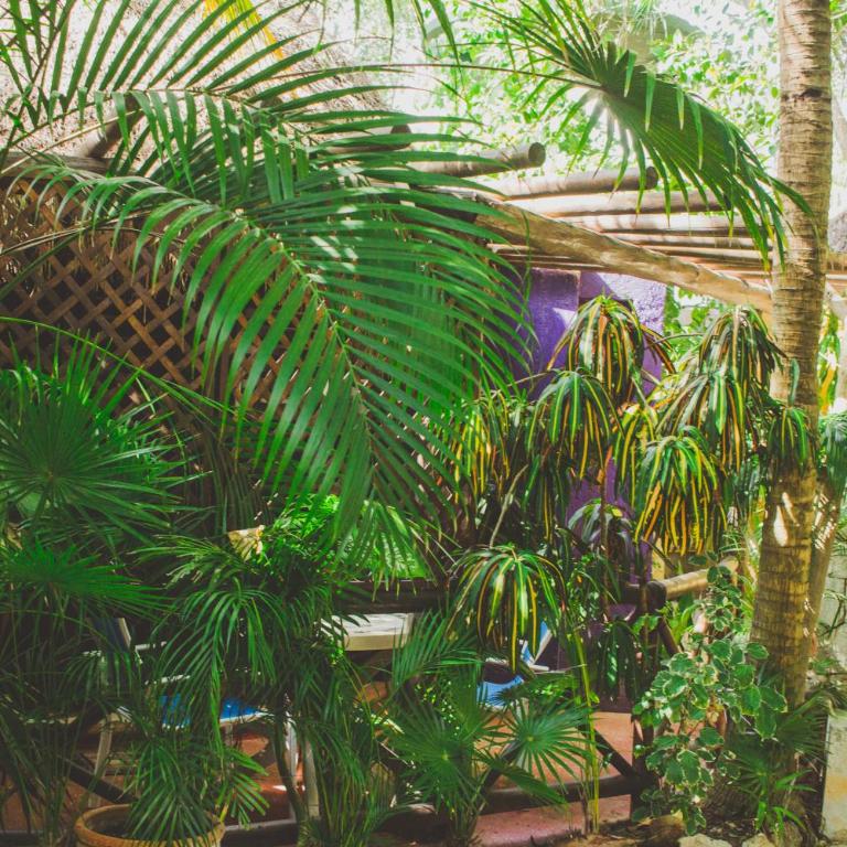 Cocos Cabañas Playa del Carmen Adults Only - Queen Suite Morada - 15