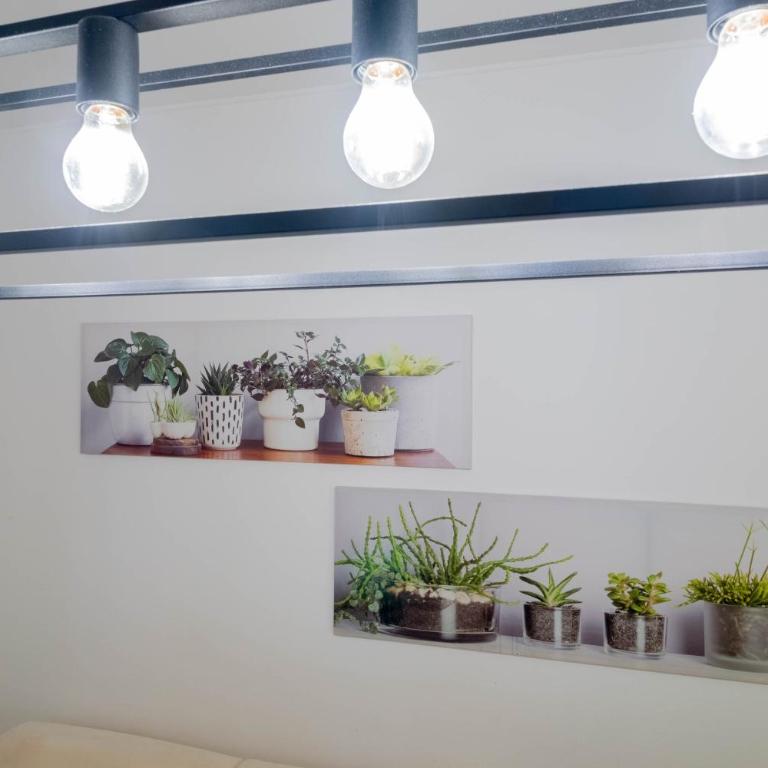 M.Aurelio (Nolo) Green - One-Bedroom Apartment - 23