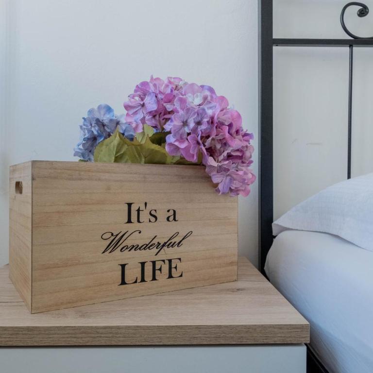 M.Aurelio (Nolo) Green - One-Bedroom Apartment - 22