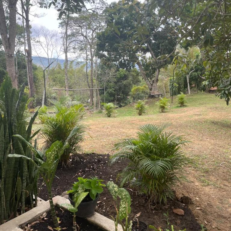 Villa Milú Refugio boutique - Habitación Doble Deluxe con bañera de hidromasaje - 1 o 2 camas - 9