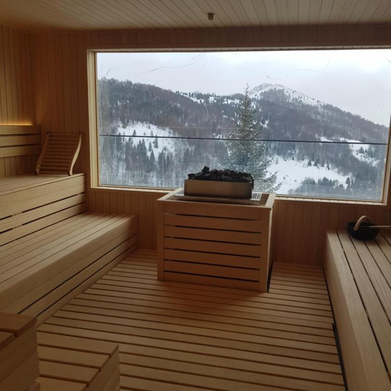 Apartments Harry - ZONED I & II SPA Kopaonik, Special benefits for children up to 13 years of age free service accompanied by parents - Apartment mit 1 Schlafzimmer und Terrasse - 26