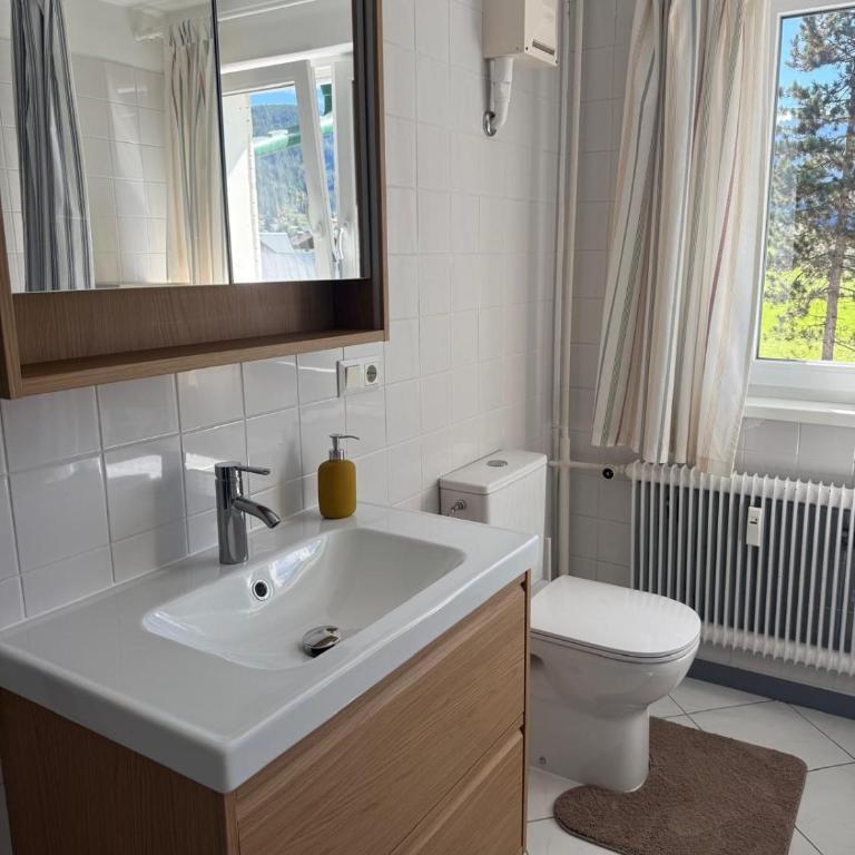 Bergzeit Gosaukamm - One-Bedroom Apartment - 18