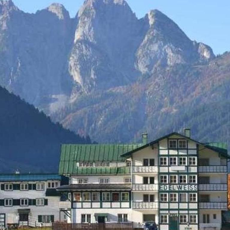 Bergzeit Gosaukamm - One-Bedroom Apartment - 1
