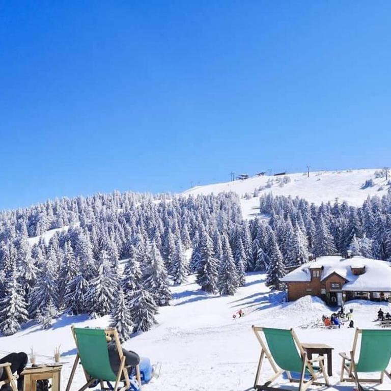Apartments Harry - ZONED I & II SPA Kopaonik, Special benefits for children up to 13 years of age free service accompanied by parents - Apartment mit 1 Schlafzimmer und Terrasse - 50
