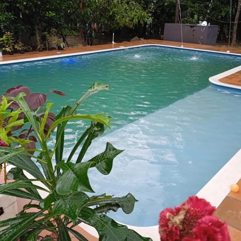casa en el arbol aguazul - Apartamento de 1 dormitorio - 4