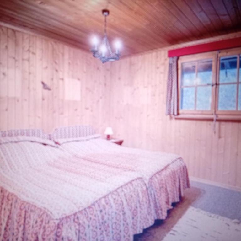 Unterseen Panorama Penthouse - Appartamento con 2 Camere da Letto - 1