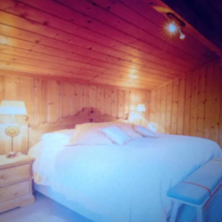 Unterseen Panorama Penthouse - Appartamento con 2 Camere da Letto - 8