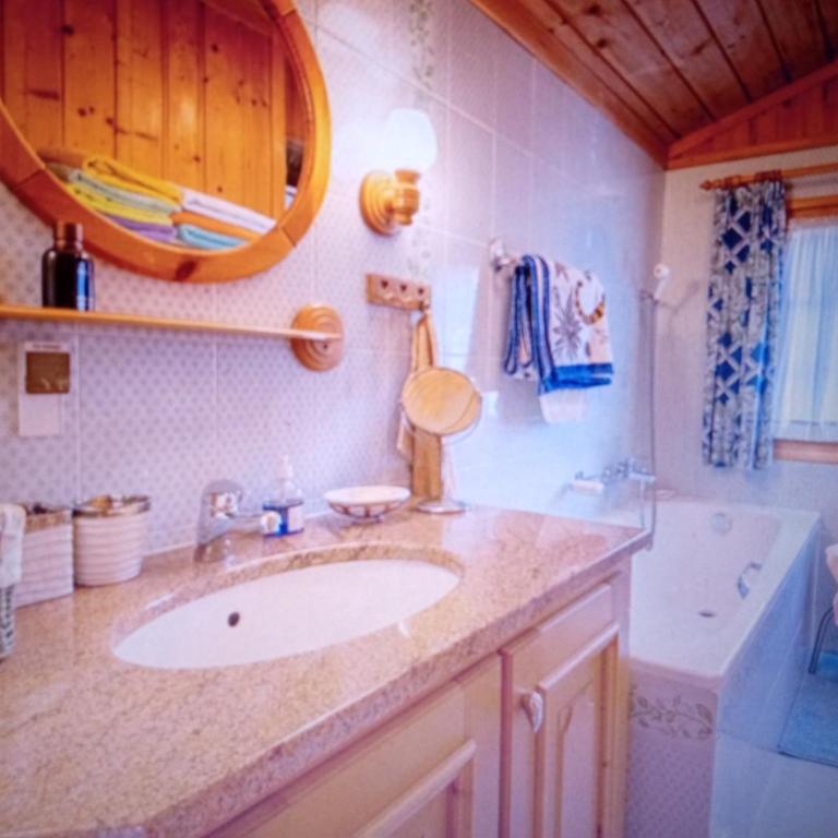 Unterseen Panorama Penthouse - Appartamento con 2 Camere da Letto - 9