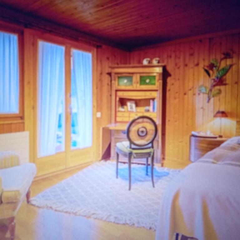 Unterseen Panorama Penthouse - Appartamento con 2 Camere da Letto - 11
