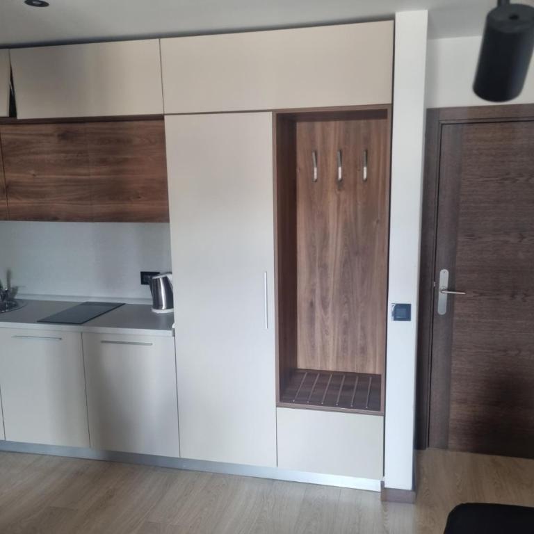Apartments Harry - ZONED I & II SPA Kopaonik, Special benefits for children up to 13 years of age free service accompanied by parents - Apartment mit 1 Schlafzimmer - 46