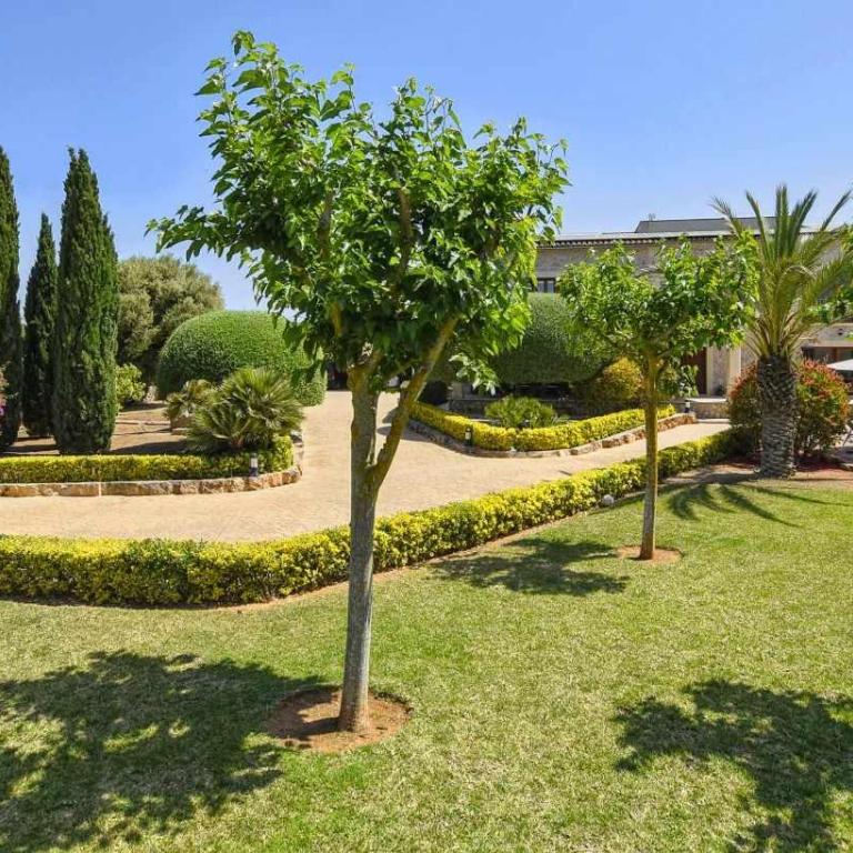 Bonita villa en Alcudia piscina cerca de la playa - Haus mit 4 Schlafzimmern - 21