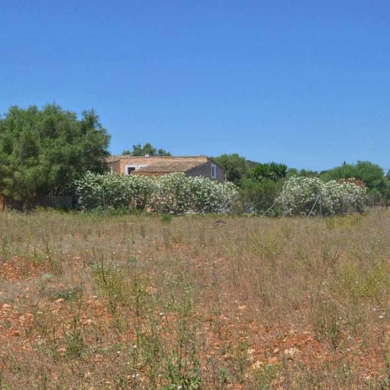 Finca cerca de Felanitx tranquilidad y piscina - Haus mit 4 Schlafzimmern - 35